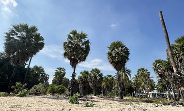 Land for sale in Bang Kao, Phetchaburi