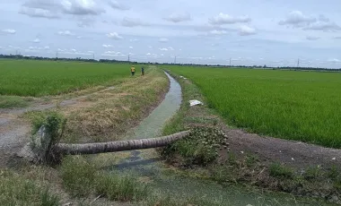 Land for sale in Lam Luk Bua, Nakhon Pathom