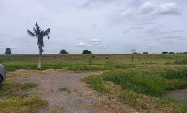 Land for sale in Lam Luk Bua, Nakhon Pathom