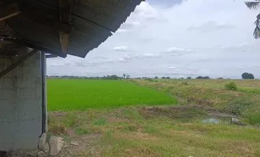 Land for sale in Lam Luk Bua, Nakhon Pathom