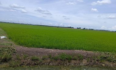 Land for sale in Lam Luk Bua, Nakhon Pathom