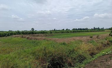 Land for sale in Lam Luk Bua, Nakhon Pathom