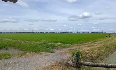 Land for sale in Lam Luk Bua, Nakhon Pathom