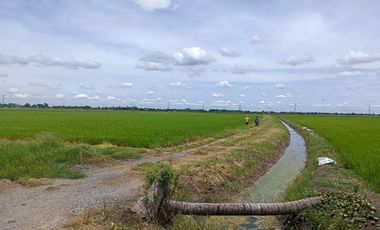 Land for sale in Lam Luk Bua, Nakhon Pathom