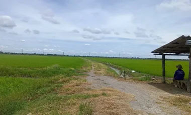 Land for sale in Lam Luk Bua, Nakhon Pathom
