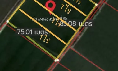 Land for sale in Bang Phasi, Nakhon Pathom