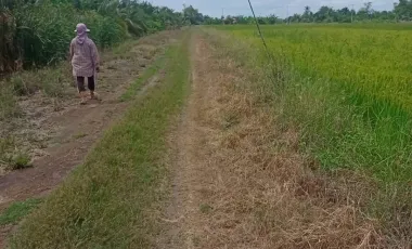 Land for sale in Bang Phasi, Nakhon Pathom