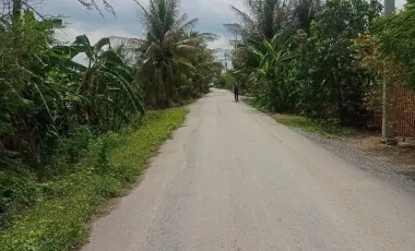 Land for sale in Bang Phasi, Nakhon Pathom