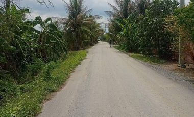 Land for sale in Bang Phasi, Nakhon Pathom