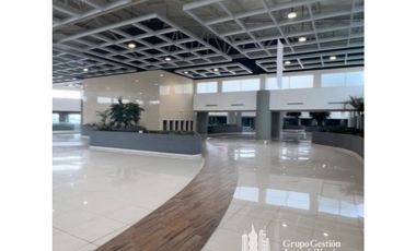 ALQUILER LOCALES PASEO ALBROOK KAF