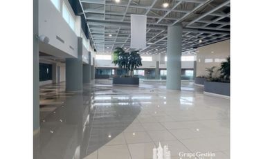 ALQUILER LOCALES PASEO ALBROOK KAF