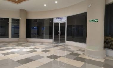 ALQUILER LOCALES PASEO ALBROOK KAF