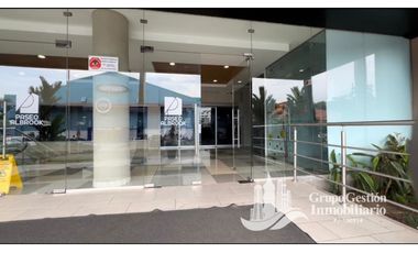 ALQUILER LOCALES PASEO ALBROOK KAF