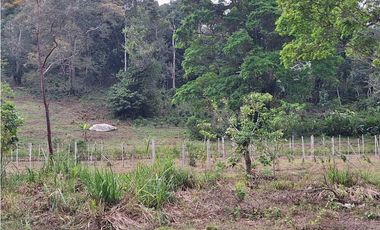 VENDO FINCA DE 4 HECTAREAS Y MEDIA LA UNION