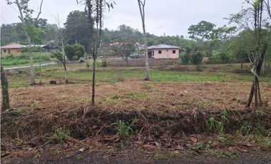 VENDO FINCA DE 4 HECTAREAS Y MEDIA LA UNION