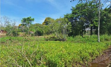 VENDO FINCA DE 4 HECTAREAS Y MEDIA LA UNION