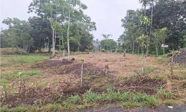 VENDO FINCA DE 4 HECTAREAS Y MEDIA LA UNION