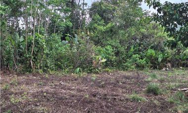 VENDO FINCA DE 4 HECTAREAS Y MEDIA LA UNION