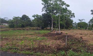 VENDO FINCA DE 4 HECTAREAS Y MEDIA LA UNION