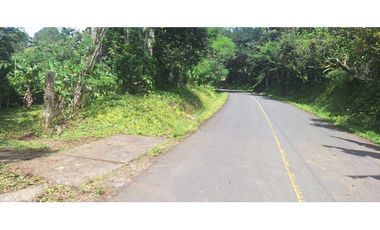 VENDO FINCA DE 4 HECTAREAS Y MEDIA LA UNION