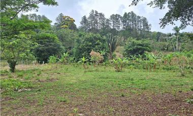 VENDO FINCA DE 4 HECTAREAS Y MEDIA LA UNION