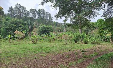 VENDO FINCA DE 4 HECTAREAS Y MEDIA LA UNION
