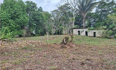 VENDO FINCA DE 4 HECTAREAS Y MEDIA LA UNION