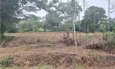 VENDO FINCA DE 4 HECTAREAS Y MEDIA LA UNION