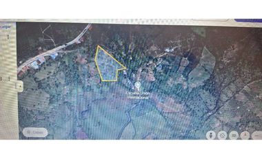 VENDO FINCA DE 4 HECTAREAS Y MEDIA LA UNION