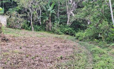 VENDO FINCA DE 4 HECTAREAS Y MEDIA LA UNION
