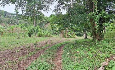 VENDO FINCA DE 4 HECTAREAS Y MEDIA LA UNION