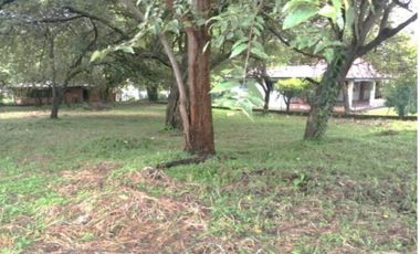 TERRENO / NUEVA GORGONA / 945 M2 / IDEAL PARA PROYECTO RESIDENCIAL