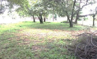 TERRENO / NUEVA GORGONA / 945 M2 / IDEAL PARA PROYECTO RESIDENCIAL