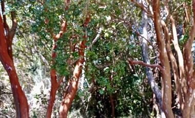 Parcela en Venta en Ensenada