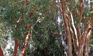 Parcela en Venta en Ensenada