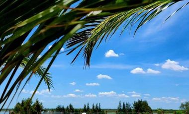Terreno en  venta Azhares del Parana, Figuera