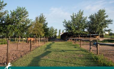 Terreno - La Rinconada - Golf - Tenis - Futbol