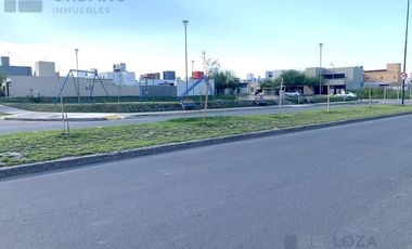 Duxplex en Docta