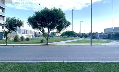 Duxplex en Docta
