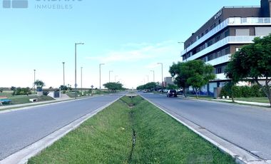 Duxplex en Docta