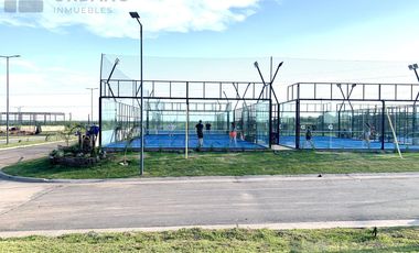 Duxplex en Docta