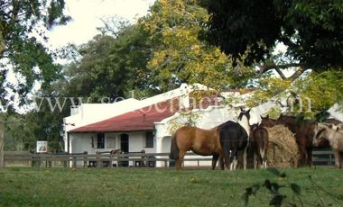 Chacra en Estancia Benquerencia 2