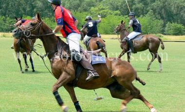 Chacra en Estancia Benquerencia 2
