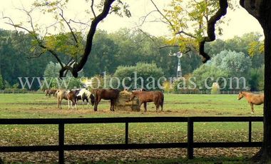 Chacra en Estancia Benquerencia 2