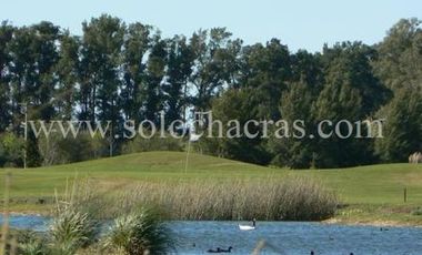 Chacra en Estancia Benquerencia 2