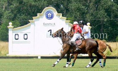 Chacra en Estancia Benquerencia 2