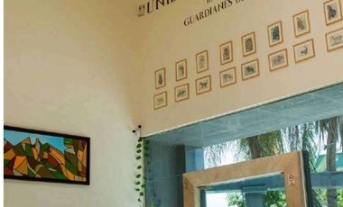 Oficina en renta de 105 m² en San Pedro Garza Garcia