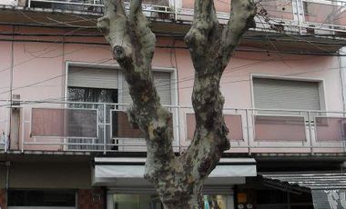 Departamento en Alquiler en Monte Grande