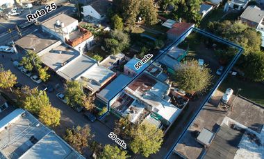 Lote con casa y locales en Venta, calle San Martín, a media cuadra de Ruta 25, Matheu