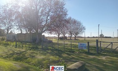 Venta - Terreno  - Oliveros